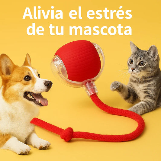 Pelota inteligente para tus mascotas🐱